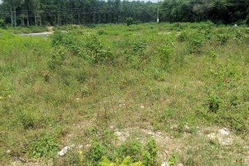 15 Bighas Residential Land At Shankarpur Road,Selaqui,Dehradun