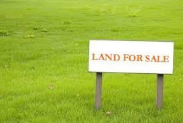 2.5 Bighas Agriculture Land Kainchiwala,Dehradun