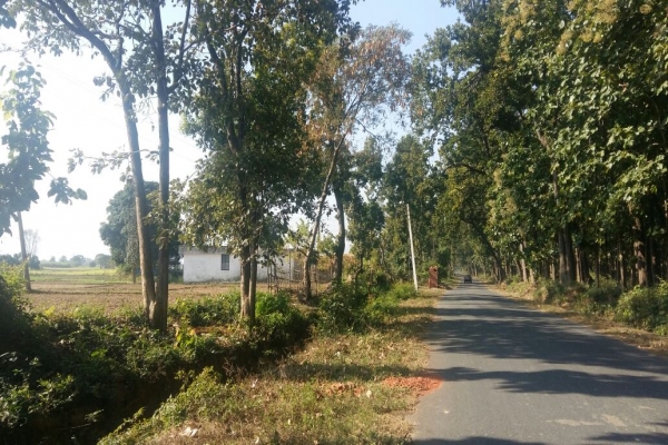 IMG-20171124-WA0044.jpg
