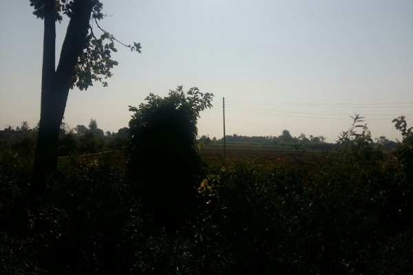 IMG-20171124-WA0059.jpg