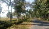 IMG-20171124-WA0044.jpg