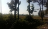 IMG-20171124-WA0057.jpg