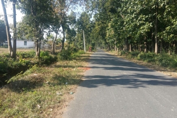 17 Bighas R 3 Land Shankarpur, Sahaspur Tehsil, Dehradun